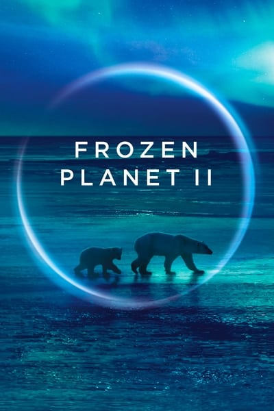 Frozen Planet II S01E02 1080p HEVC x265-MeGusta